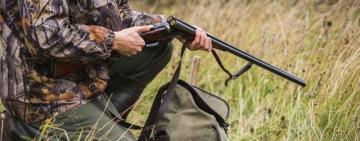 Увага! В Ізмаїльському районі розпочали відстріл диких хижих тварин